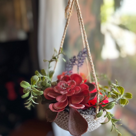 Succulent hanging decor - Picture 2 of 3